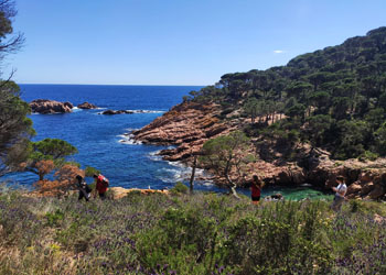 Canyoneering action in Sant Feliu