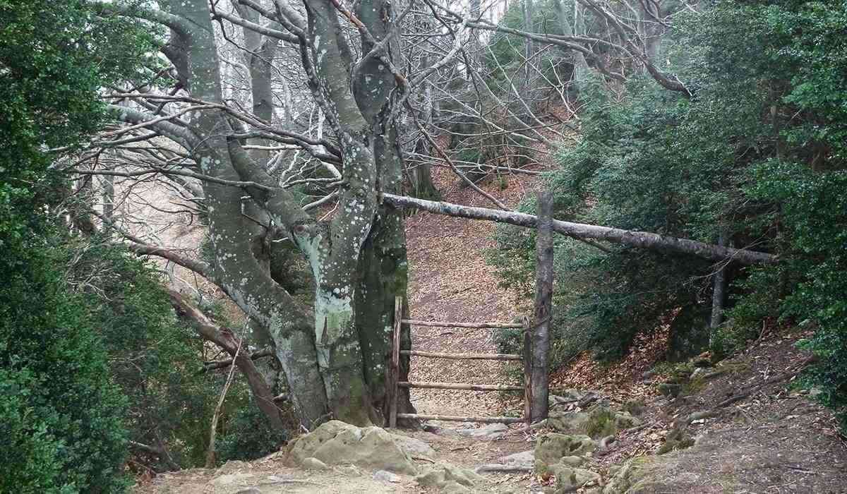 Hiking Girona Catalonia Puigsacalm Slide 1
